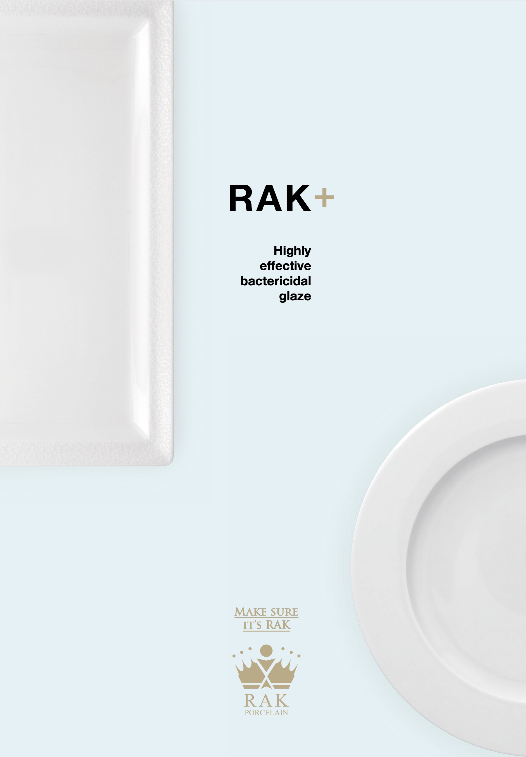 RAK+  Katalog PDF