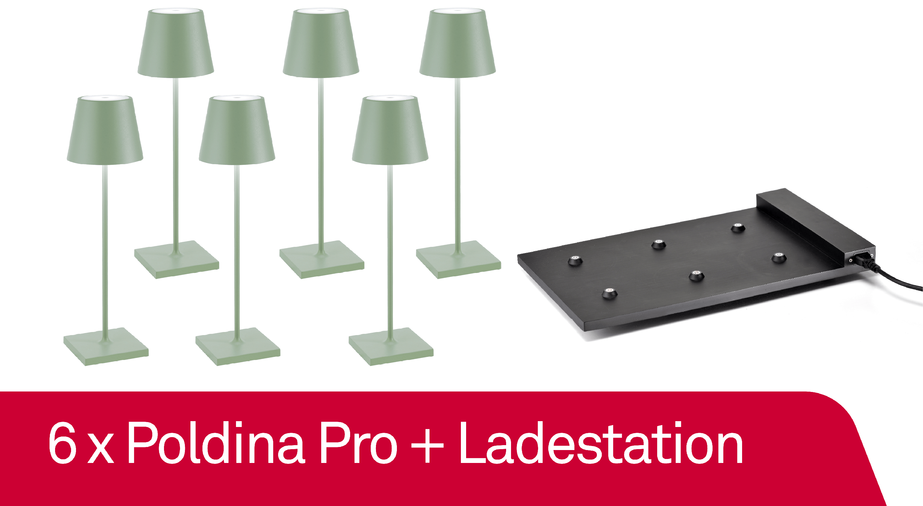 6 x Zafferano Poldina Pro Salbei + Ladestation - Bundle
